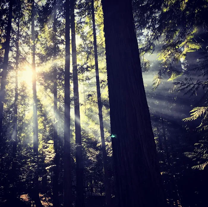 Bad Medicine Campground Picture 3