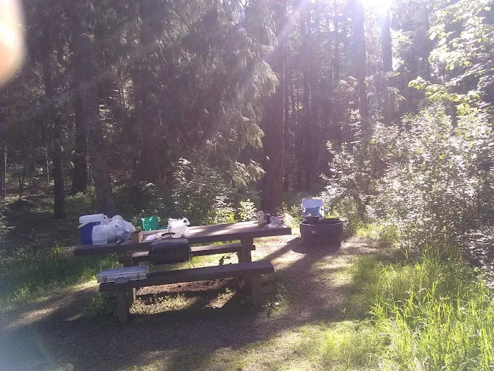 Big Eddy Campground Picture 8