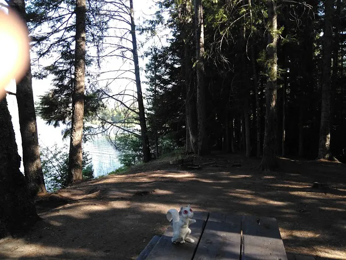 Dorr Skeels Campground Picture 9