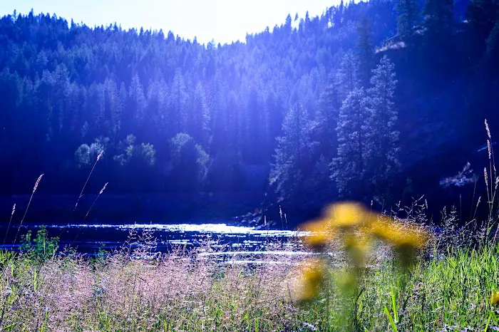 Dorr Skeels Campground Picture 2