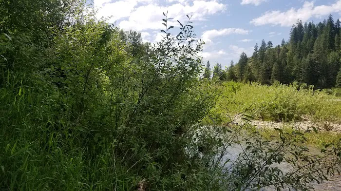 Huckleberry Campground Picture 1