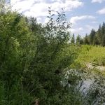 Huckleberry Campground