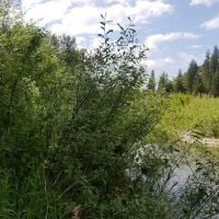 Huckleberry Campground ico