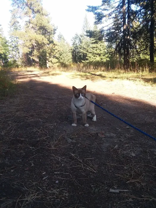 Mission Mountain Campground Picture 3