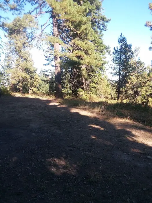 Mission Mountain Campground Picture 7