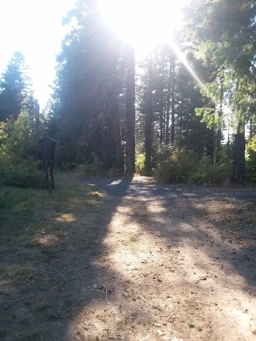 Mission Mountain Campground Picture 8
