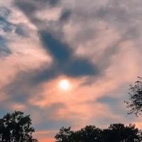 Edgewater Estates ico