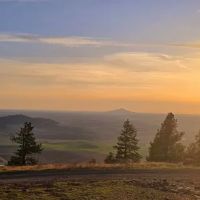 Redtail Campground ico