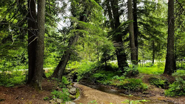 Giant White Pine Campground and Trailhead Picture 10