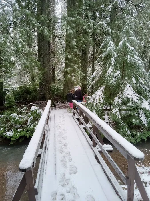 Giant White Pine Campground and Trailhead Picture 7