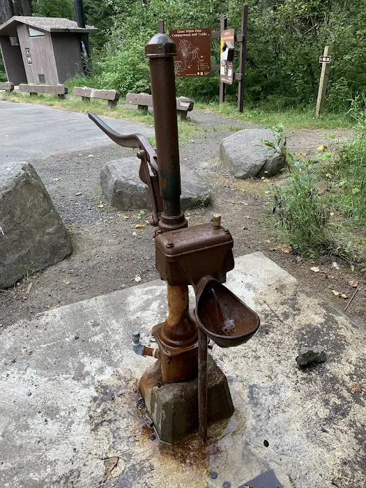 Giant White Pine Campground and Trailhead Picture 1