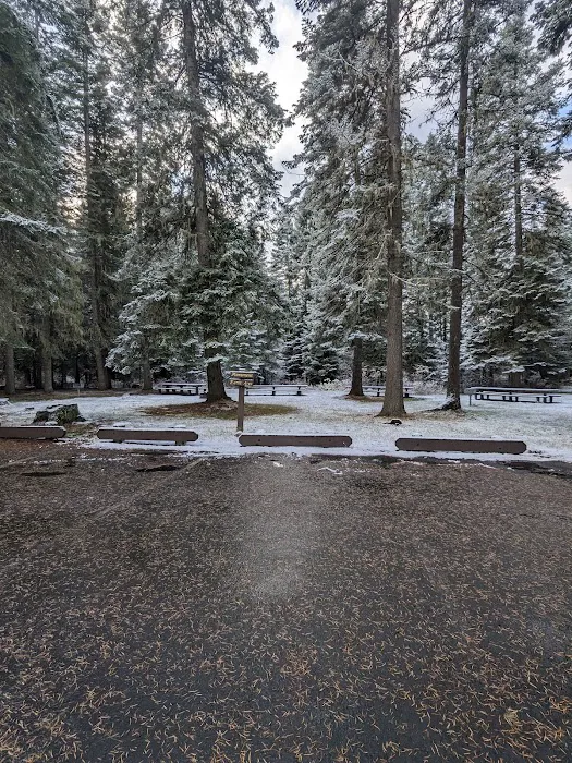 Laird Park Campground Picture 9