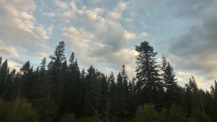 Laird Park Campground Picture 6