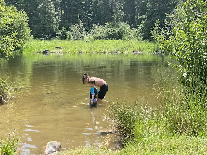 Laird Park Campground Picture 1