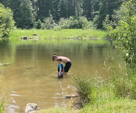 Laird Park Campground