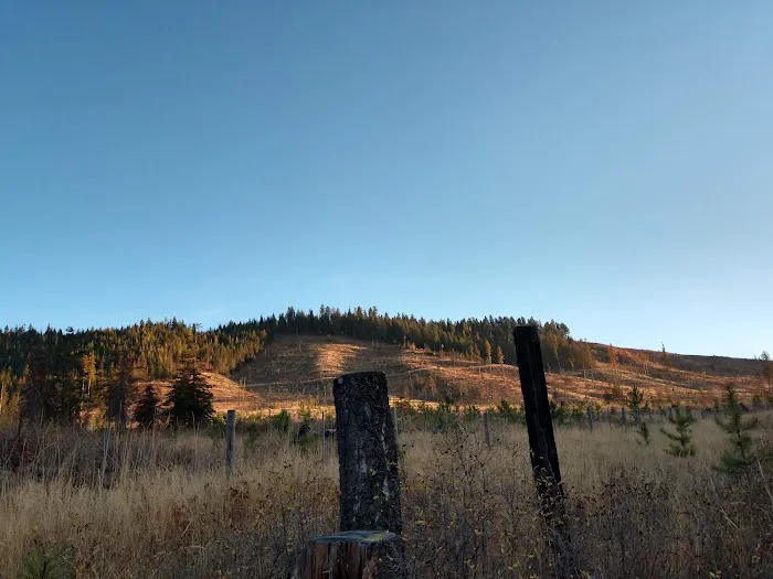 Laird Park Campground Picture 2