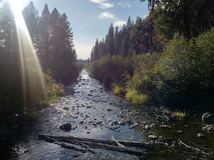 Laird Park Campground Picture 8