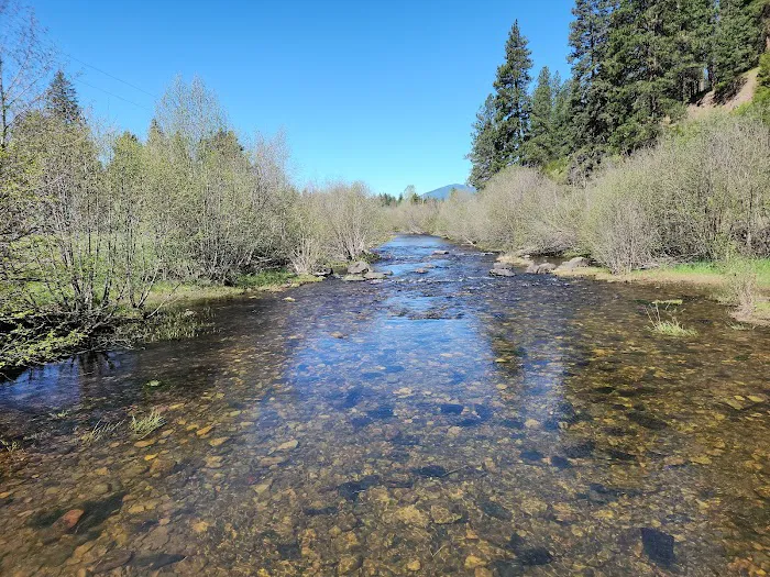Laird Park Campground Picture 10