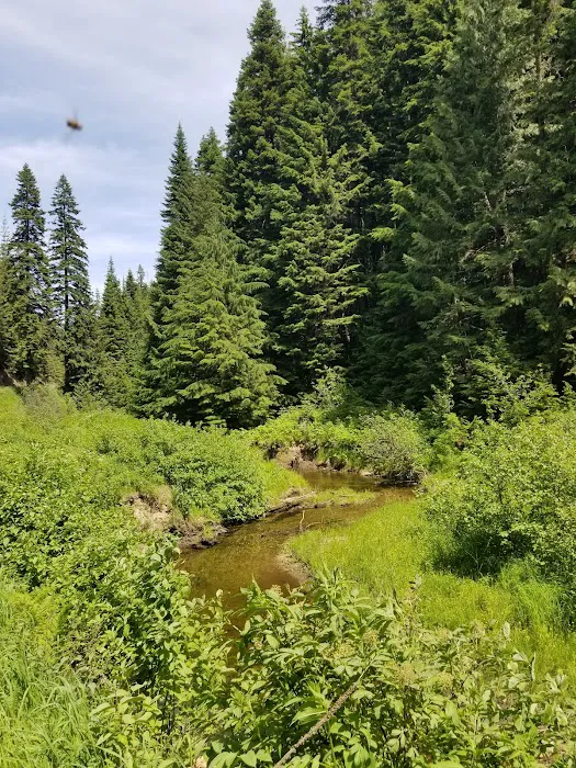 Emerald Creek Campground Picture 10