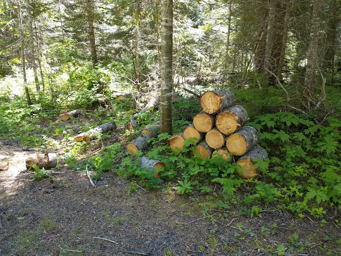 Emerald Creek Campground Picture 9