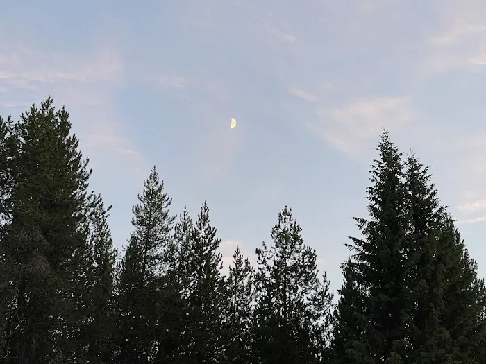 Moose Creek Campground Picture 5