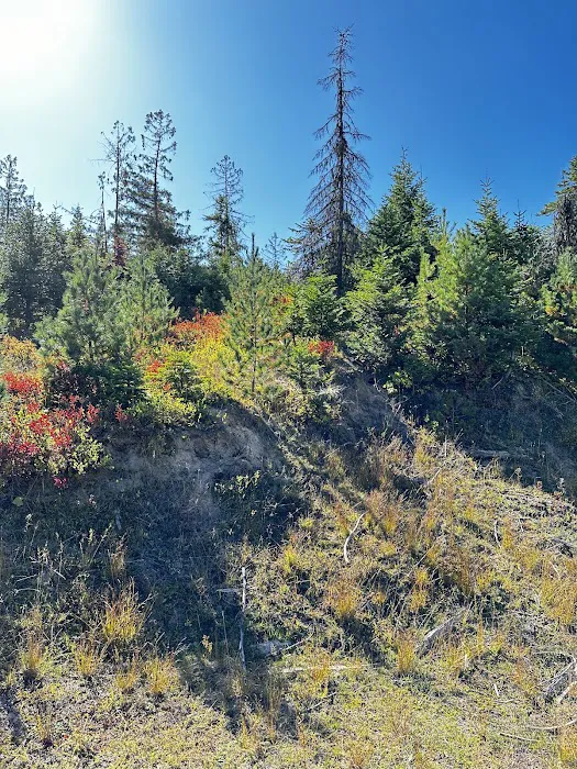 Moose Creek Campground Picture 7