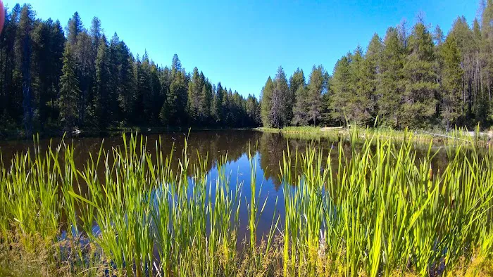 Moose Creek Campground Picture 1