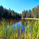 Moose Creek Campground