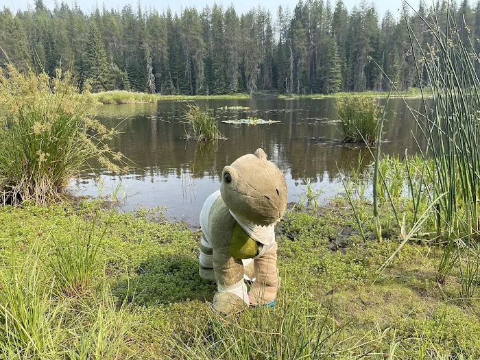 Moose Creek Campground Picture 10