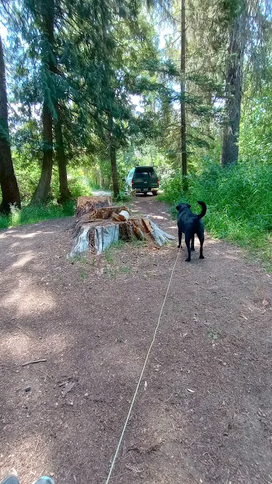 Cedar Creek Campground Picture 4