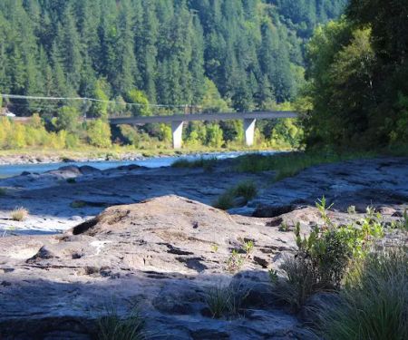 Tyee Campground (Umpqua River)