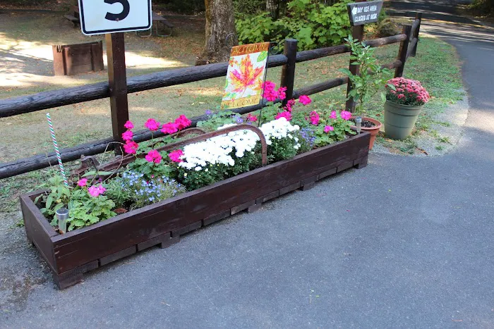 Tyee Campground (Umpqua River) Picture 4