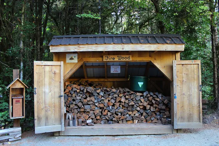 Tyee Campground (Umpqua River) Picture 3