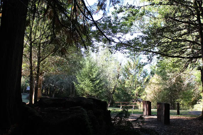 Tyee Campground (Umpqua River) Picture 8