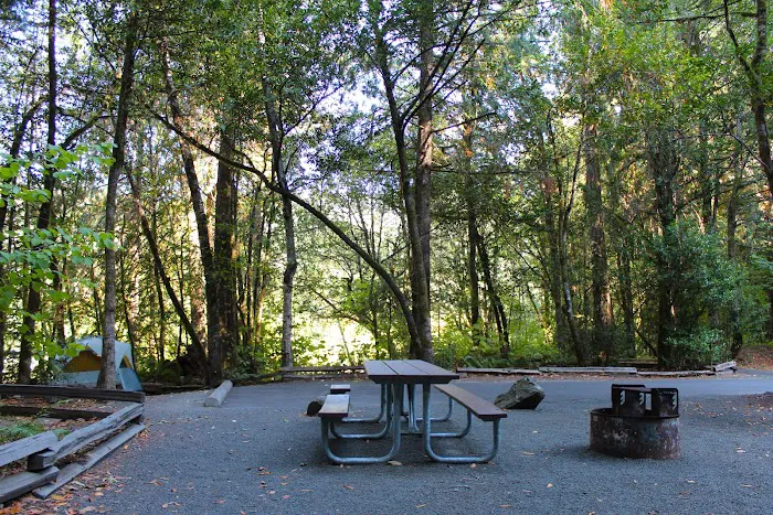 Tyee Campground (Umpqua River) Picture 5