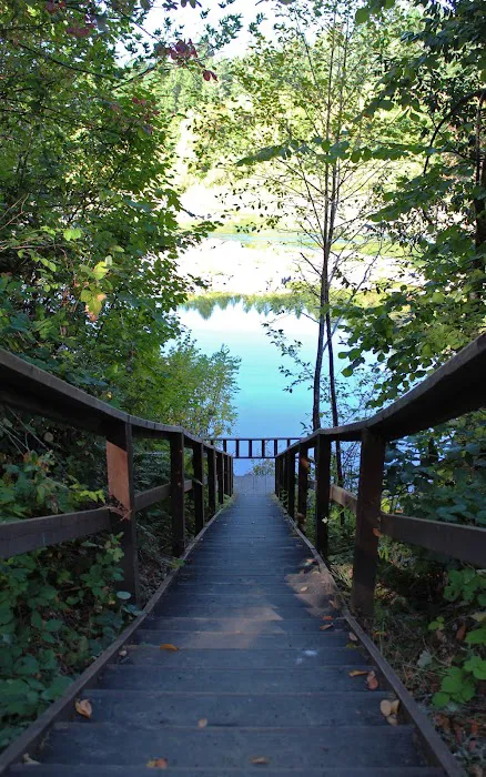 Tyee Campground (Umpqua River) Picture 7