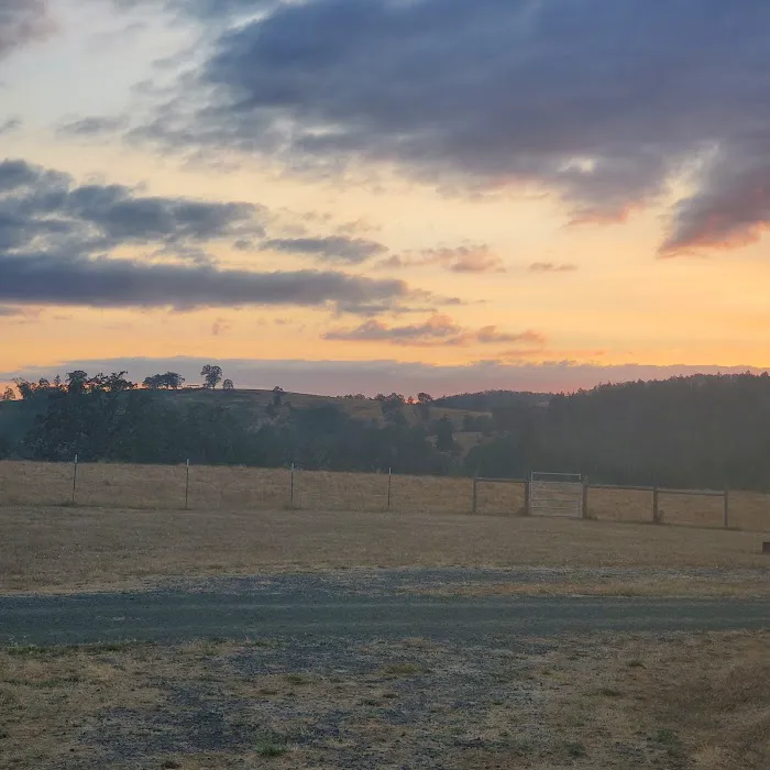 Mildred Kanipe Memorial Park Campground Picture 4