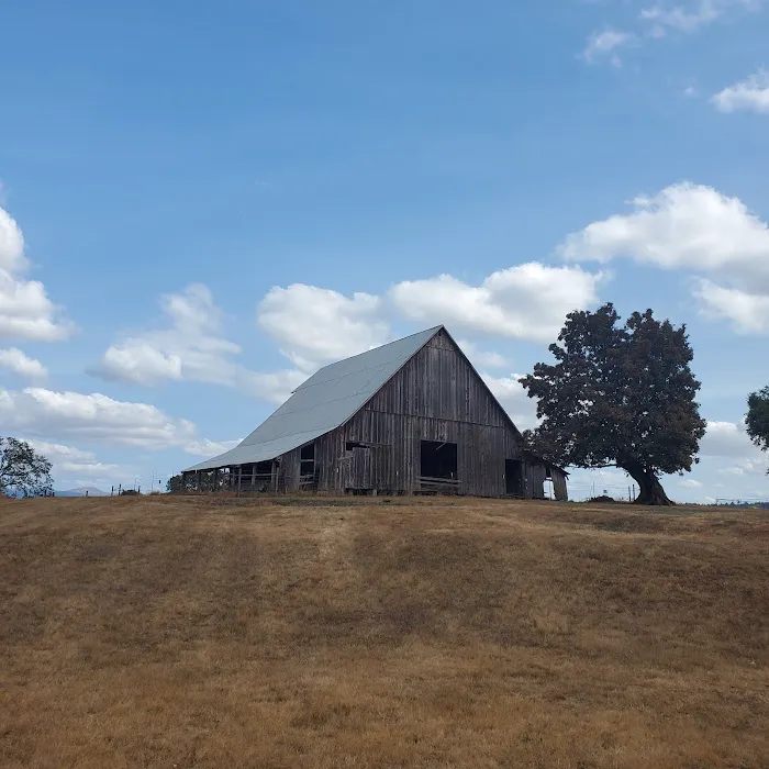 Mildred Kanipe Memorial Park Campground Picture 5