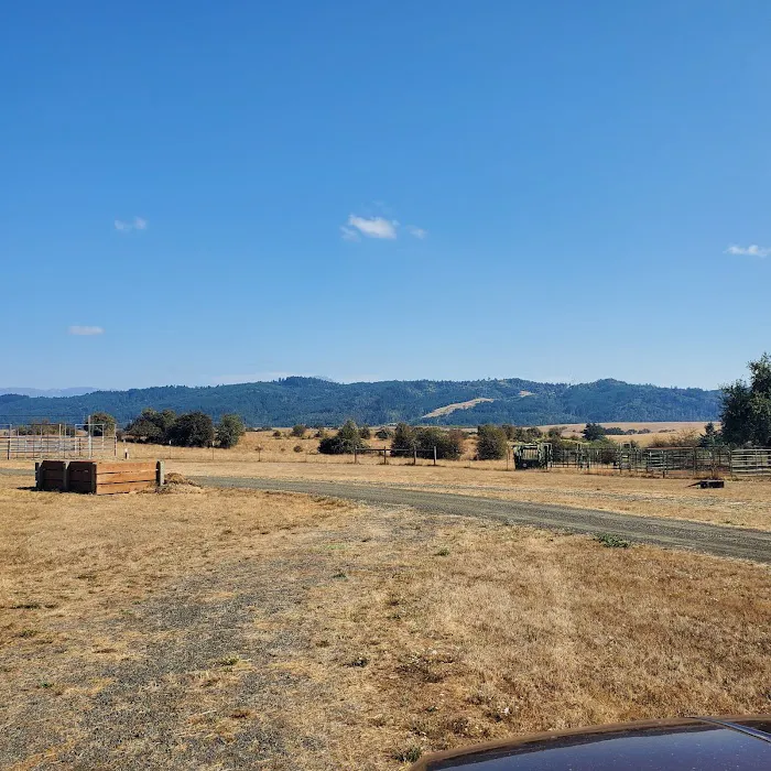 Mildred Kanipe Memorial Park Campground Picture 7