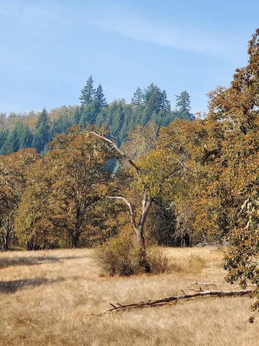 Mildred Kanipe Memorial Park Campground Picture 10