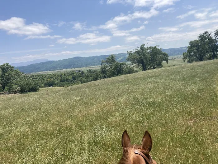Mildred Kanipe Memorial Park Campground Picture 9