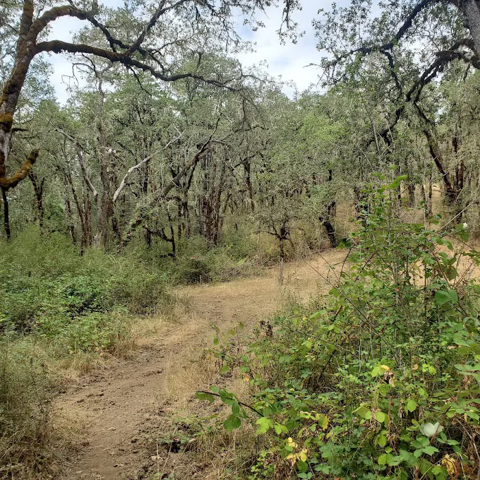 Mildred Kanipe Memorial Park Campground Picture 6