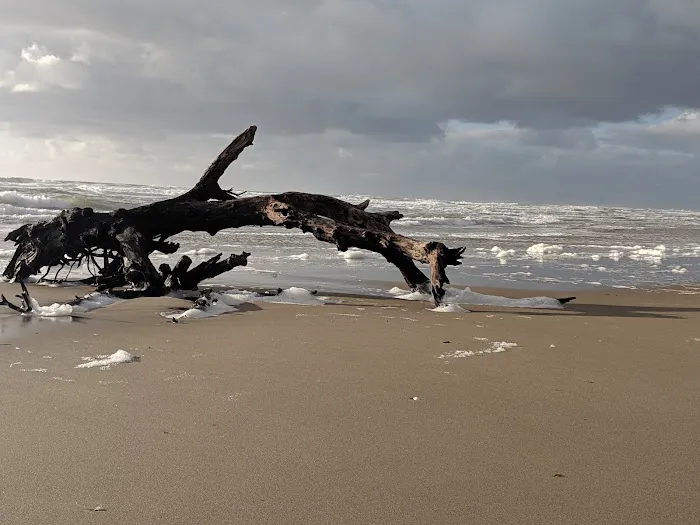 Umpqua Sand Camping Picture 2