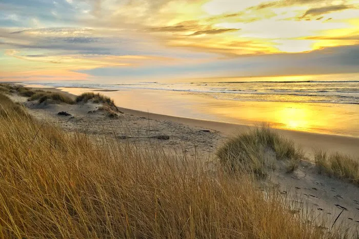 Umpqua Sand Camping Picture 10