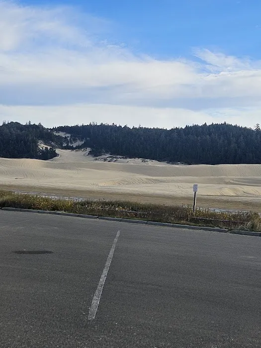 Umpqua Sand Camping Picture 3