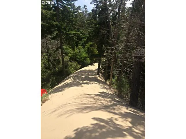 Timber Dunes Picture 2