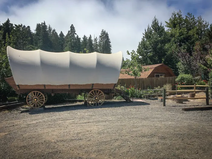 Oregon Dunes KOA Holiday Picture 8