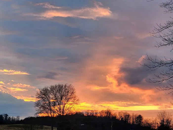 T&R RENTALS LLC (CAMPSITES) Picture 3