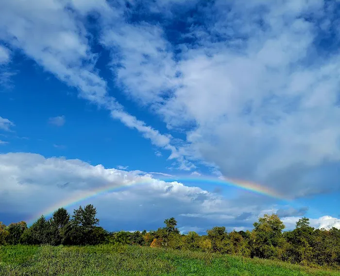 T&R RENTALS LLC (CAMPSITES) Picture 2