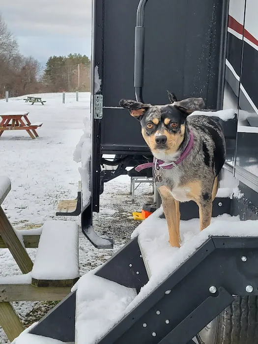 T&R RENTALS LLC (CAMPSITES) Picture 4